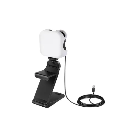Neewer PL81Pro video conferencing lighting